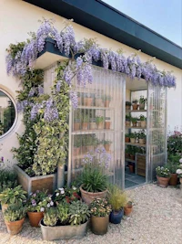 a garden shed with potted plants and flowers
