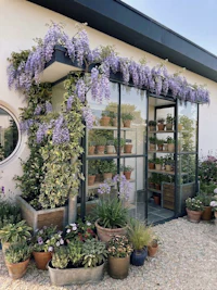 a house with potted plants and wisteria